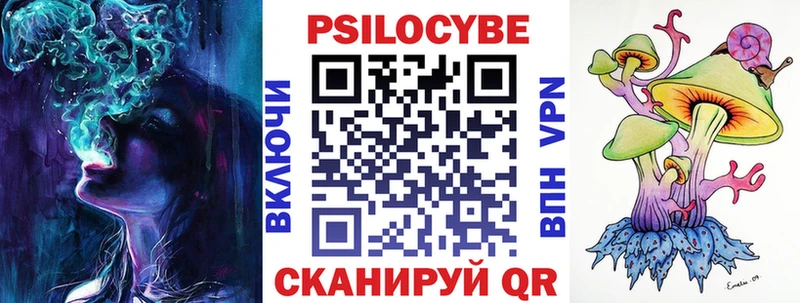 Псилоцибиновые грибы Psilocybine cubensis  Исилькуль 